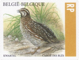 5172**(B182/C182) - Caille Des Blés / Kwartel / Wachtel / Quail / Coturnix Coturnix - BUZIN - RECOMMANDÉ / AANGETEKEND - Unused Stamps