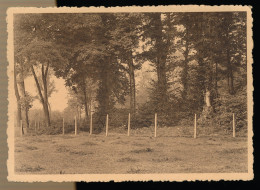 WETTEREN    PENSIONNAT DU SACRE COEUR  - KOSTSSCHOOL V/H  .HART   - UN COIN DU PARC      ZIE SCANS - Wetteren