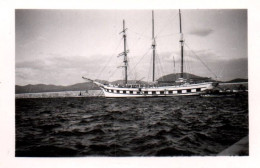 Saint Tropez - Photo Ancienne - Bateau Voilier Goélette 3 Mâts Dans Le Port - 5x7 Cm - Saint-Tropez