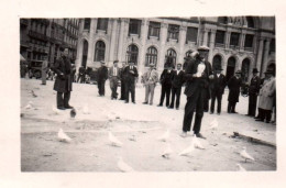 Valence - Valencia - Photo Ancienne - Charmeur D'oiseaux Sur La Place - Espagne España - 5x7 Cm - Valencia