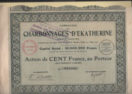 Compagnie Des Charbonnages D Ekatherine - Action De Cent Francs Au Porteur - Miniere