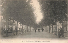 MONTAGNAC L'ESPLANADE - Montagnac
