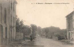 MONTAGNAC L'Avenue De Montpellier - Montagnac