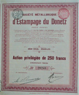 S.A. Soc.Métall.d'Estamp. Du Donetz-act.priv.de250francs - Russie
