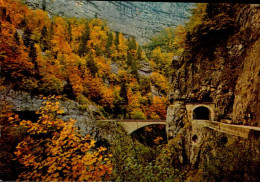 LES GORGES DE LA BOURNE  ( ISERE )   AU PONT DE LA GOULE NOIRE - Vercors