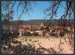 83 LE BEAUSSET Vue Panoramique - Le Beausset