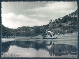 Basilicata LAGONEGRO - Other & Unclassified