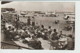 Vintage Rppc Visitors & KLM K.L.M Royal Dutch Airlines Fleet @ Schiphol Amsterdam Airport - 1919-1938: Entre Guerres