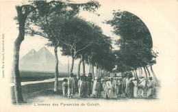 CPA Afrique > Egypte > L'Avenue Des Pyramides De Guiseh Gizeh - Guiza