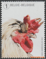 België 2022 - Mi:455/456, OBP:5109, Stamp - XX - Koen Van Mechelen - Ungebraucht