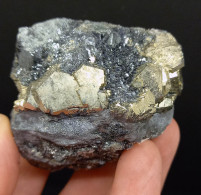#SC10-09 PIRITE Cristallo Pentagono Dodecaedrici Su Ematite (Is. Elba, Italia) - Minerales