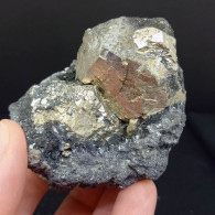 #SC10-10 PIRITE Cristallo Pentagono Dodecaedrici Su Ematite (Is. Elba, Italia) - Mineralien