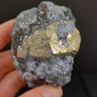 #SC10-11 PIRITE Cristallo Pentagono Dodecaedrici Su Ematite (Is. Elba, Italia) - Minerals
