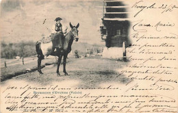 Paysanne D'Evolène Sur Une Mule Mulet Âne Costume 1900 - Evolène