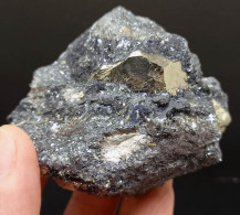 #SC10-19 PIRITE Cristallo Pentagono Dodecaedrici Su Ematite (Is. Elba, Italia) - Minerali