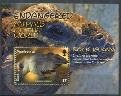 159 MONTSERRAT 2008 - Yvert BF 121 - Reptile Iguane Rhinocéros - Neuf ** (MNH) Sans Trace De Charniere - Montserrat