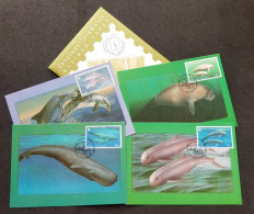 Thailand International Year Of Ocean 1998 Whale Dolphin Dugong Marine Life (maxicard) *see Scan - Thailand