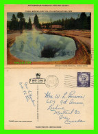 YELLOWSTONE, WY - MORNING GLORY POOL, YELLOWSTONE NATIONAL PARK - HAYNES STUDIOS INC - TRAVEL IN 1958 - - Yellowstone