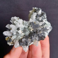 #SC01.12 QUARZ, MARMATIT Kristalle (Dalnegorsk, Russische Föderation) - Mineralen
