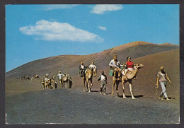 073289/ Lanzarote, Caravana De Camellos  - Lanzarote