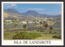 073288/ HARIA - Lanzarote