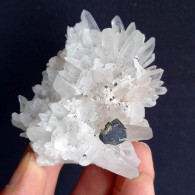 #SC02.02 - QUARZ, SPHALERIT Kristalle (Dalnegorsk, Russische Föderation) - Minerales