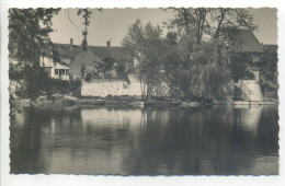 CPA (41 Loir Et Cher) - SELLES Sur CHER - Vue Sur Le Cher Au Bourgeau - Selles Sur Cher