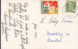 Denmark PPC Glædelig Jul Artist : Johib. Brotype IId TORNING Pr. KJELLERUP 1948 W. Christmas Seal (2 Scans) - Storia Postale