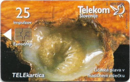 Slovenia - Telekom Slovenije - Carniolan Honey Bee - Ličinka Plava V, Gem5 Red, 07.2001, 25Units, 9.993ex, Used - Slovenia