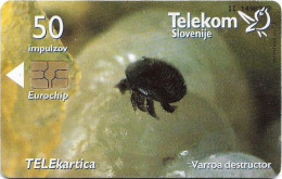 Slovenia - Telekom Slovenije - Carniolan Honey Bee - Varroa Destructor, Gem5 Red, 07.2001, 50Units, 9.962ex, Used - Slovenië