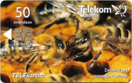 Slovenia - Telekom Slovenije - Carniolan Honey Bee - Delavki Pri Izmenjavi,  Gem5 Red, 05.2001, 50Units, 9.942ex, Used - Slovenië