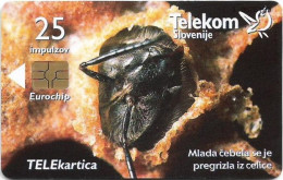 Slovenia - Telekom Slovenije - Carniolan Honey Bee - Mlada Čebela, Gem5 Red, 09.2001, 25Units, 4.980ex, Used - Slovenia