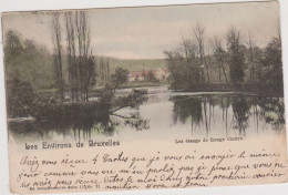 BRUXELLES   Les étangs De Rouge Cloître - Forêts, Parcs, Jardins