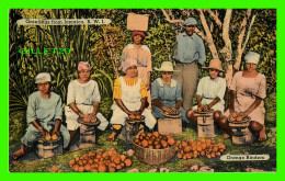 JAMAICA, B.W.I. - ORANGE RINDERS - PICTURE BY CLEARY & ELLIOTT - - Jamaica