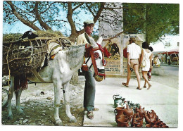 TIPICO BOTIJERO / TYPICAL POTTERY VENDOR.-  EIVISSA / IBIZA.- ISLAS BALEARES.-  ( ESPAÑA ) - Ibiza