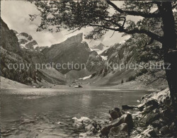 11644083 Seealpsee Bergsee Appenzeller Alpen Seealpsee - Other & Unclassified