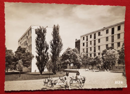 CPSM Grand Format -  Bobigny -(Seine) - Espaces Verts - Jardins D'Enfants - Bobigny