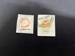 8-1-2024 (stamp) 2 Stamps (used) Tonga - Shells / Coquillage - Schalentiere