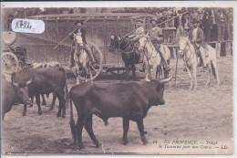 TARASCON- TRIAGE DE TAUREAUX POUR UNE COURSE- MANADE FRANCO-RUSSE - FAMILLE DURANDAU - Tarascon