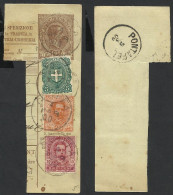 BOLLETTINO DI SPEDIZIONE  PONTAFEL 1900 PACCHI POSTALI - Postal Parcels