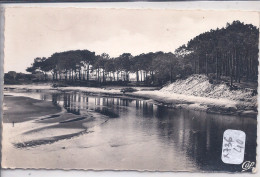 CAPBRETON- LES PINS MARITIMES DU BOURRET - Capbreton