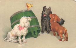 ANIMAUX - Chiens - Trois Chiens Observant Un Poussin Sur Un Tonneau Vert - Carte Postale Ancienne - Dogs