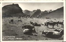 11669844 Hoher Kasten Altmann Und Kamoralp Kuehe Hoher Kasten - Sonstige & Ohne Zuordnung