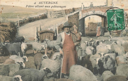 Auvergne N°4 * CPA * Pâtre Allant Aux Pâturages * Berger Troupeau Moutons * Cantal Haute Loire Allier Puy De Dôme - Andere & Zonder Classificatie