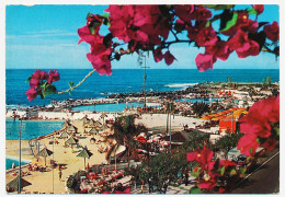 CPSM / CPM 10.5 X 15 Espagne (20) Canaries Tenerife PUERTO DE LA CRUZ  Les Piscines  Bord De Mer - Other & Unclassified