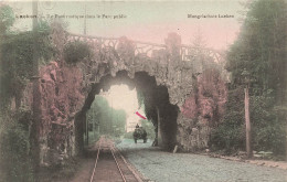 BELGIQUE - Laeken - Le Pont Rustique Dans Le Parc Public - Colorisé - Carte Postale Ancienne - Laeken