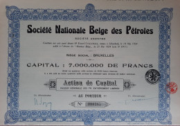 Société Nationale Belge Des Pétroles - Bruxelles -1924 - Action De Capital - Pétrole