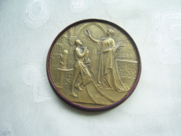 GROSSE MEDAILLE EN BRONZE EXPOSITION UNIVERSELLE DE BR4UXELLES DE 1910 - Otros & Sin Clasificación