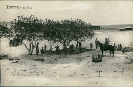 LIBIA / LIBYA - TOBRUCH / TOBRUCK - SOLDIERS / SOLDATI / AL FICO- RPPC POSTCARD 1910s (12317) - Libia