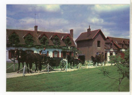 89 CERISIERS ++ Haras De Villechétive - Centre Equestre Daniel DOYEN ++ - Cerisiers